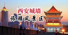 黄色美女小穴网站中国陕西-西安城墙旅游风景区