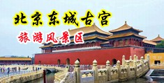 操大骚逼视频大全部中国北京-东城古宫旅游风景区